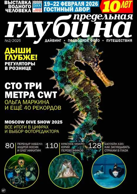 Предельная глубина №2 / 2025