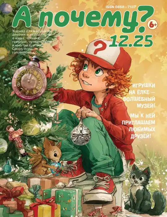А почему ? №12 / 2025
