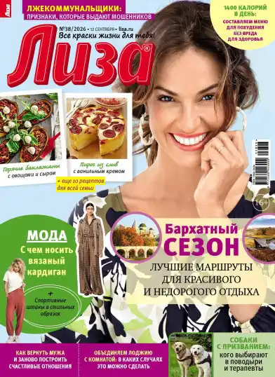 Лиза №38 / 2026