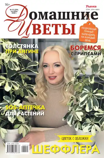 Домашние цветы №10 / 2026