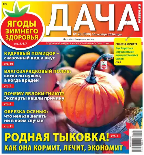 Дача №20 / 2026