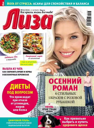 Лиза №43 / 2026